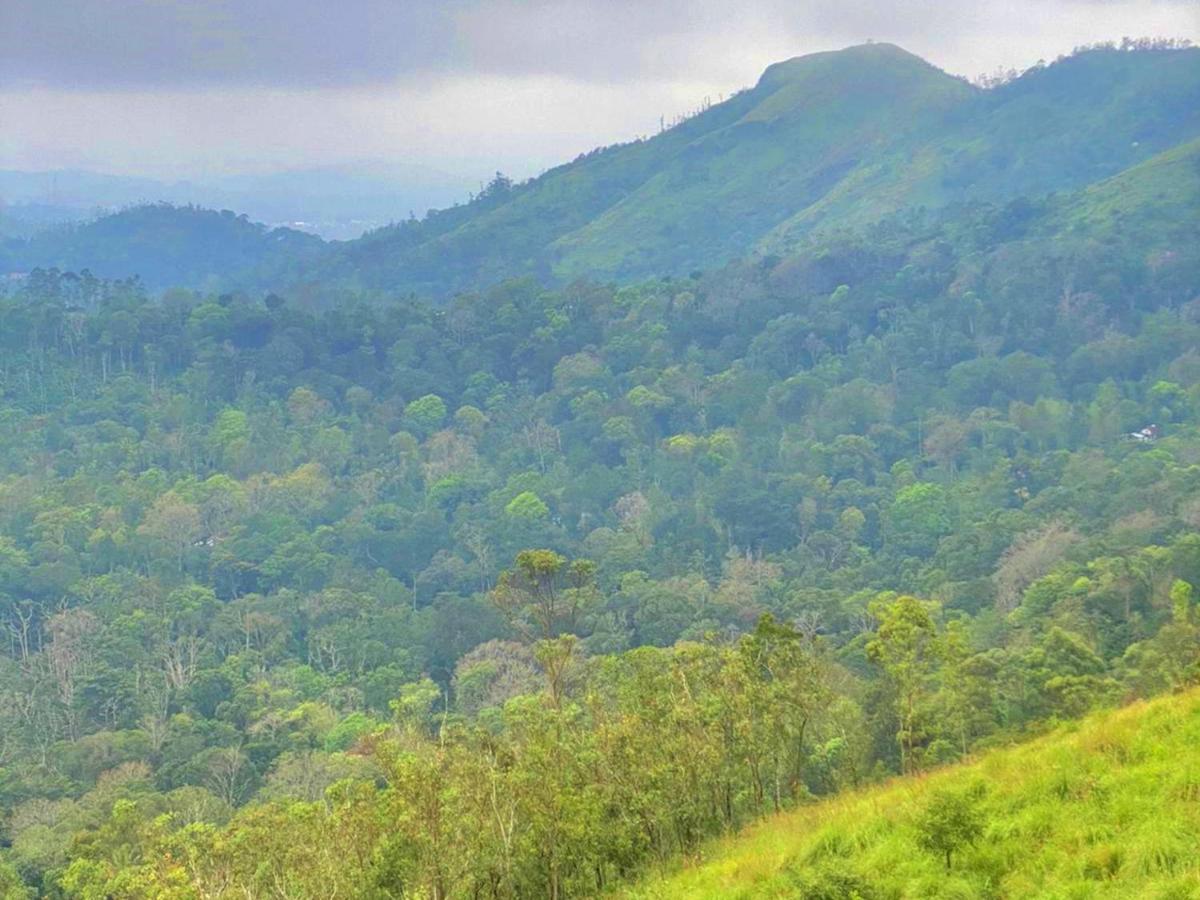 The Windy Mist Resort Munnar Chinnakanal Buitenkant foto